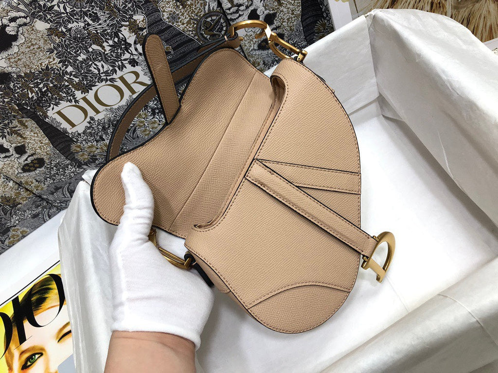 Dior Saddle Small Nude Color 21x18x5 cm